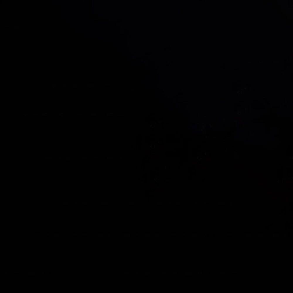 Furniture of America Wren Twin Spindle Kids Bed in Black, , large