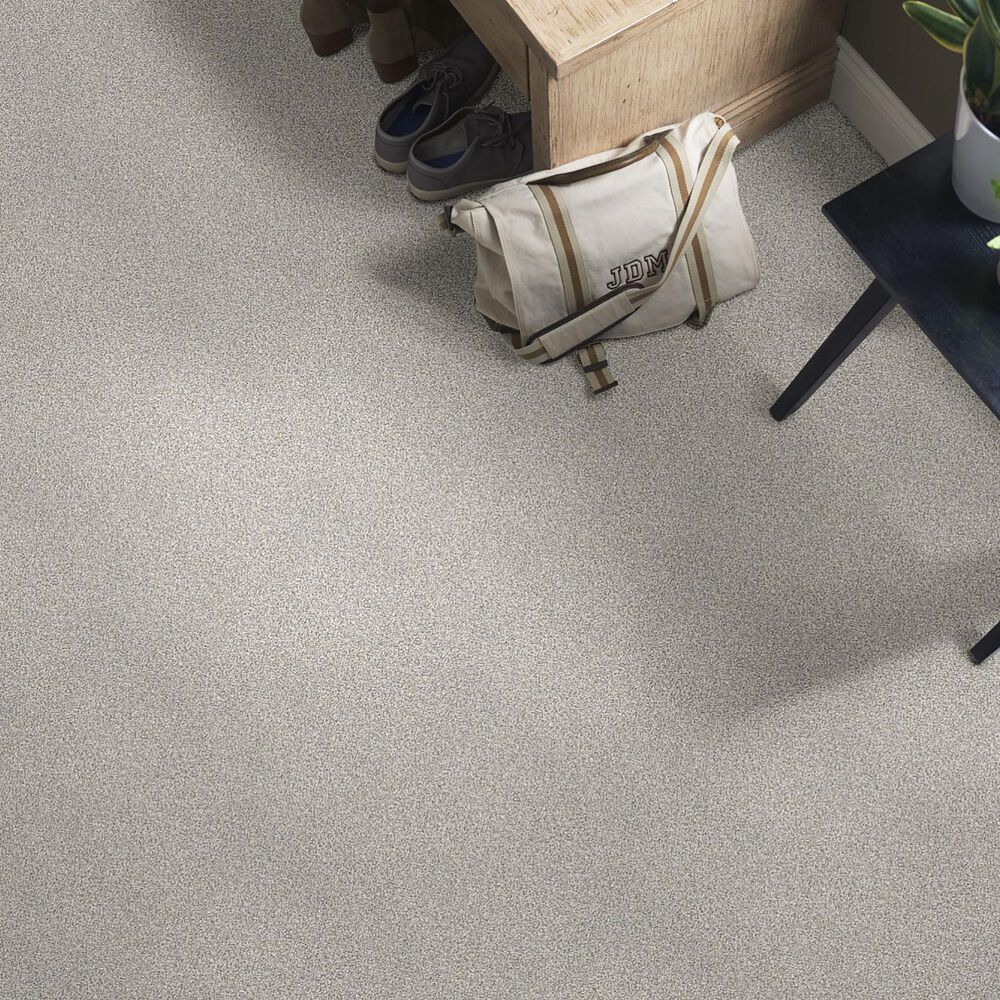 Shaw Find Your Comfort TT I Carpet in Restful Day, , large
