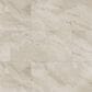 MS International Camuflage Beige 24" x 48" Porcelain Tile, , large