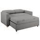 Lifestyle Solutions Tyler Convertible Sofa in Grey, , large