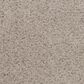 Mohawk Blended Moments Carpet in Castle Rock, , large