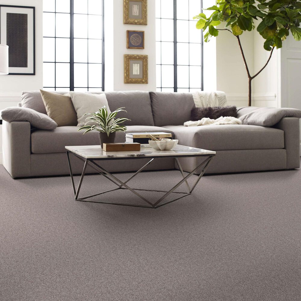 Shaw Agility Carpet in Ornamental Gate, , large