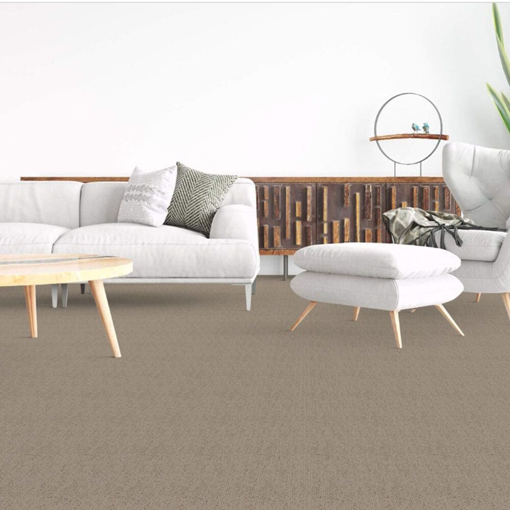 Dixie Home Worthington Carpet in Intensity, , large