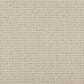 Karastan Adderley Carpet in Illuminating, , large