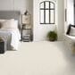 Anderson Tuftex Appreciation Carpet in Soft Fleece, , large