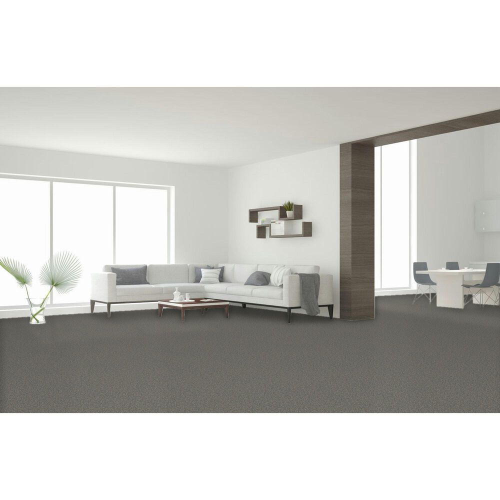 Dream Weaver Royale II Carpet in Marble Glaze, , large