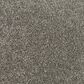 Mohawk Assorted Elements I Carpet in Steelbeam, , large