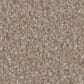 Phenix Oasis Gold Carpet in Camel, , large