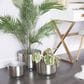 Maple and Jade Planter in Brushed Silver (Set of 3), , large