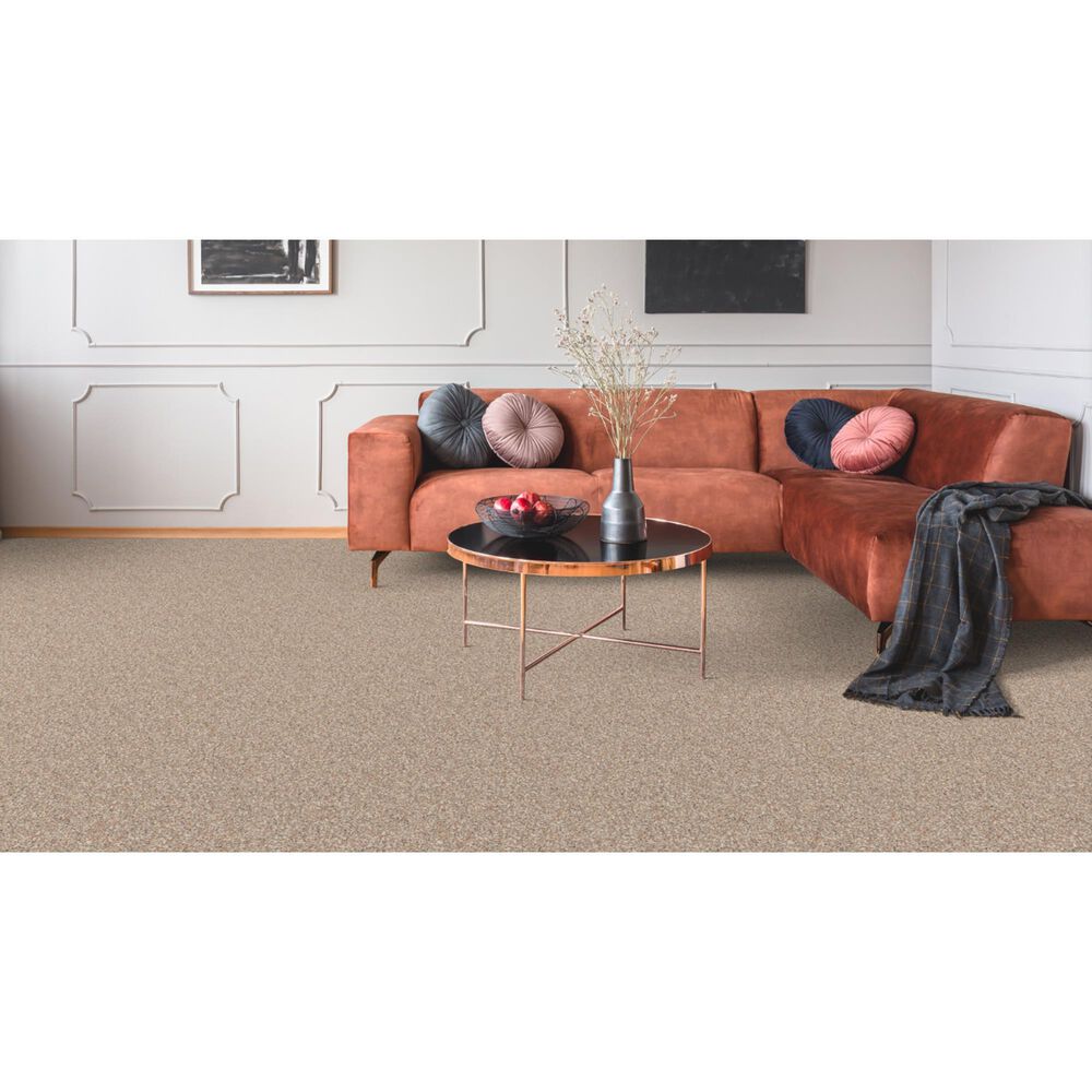 Dixie Home Bella Carpet in Treat, , large