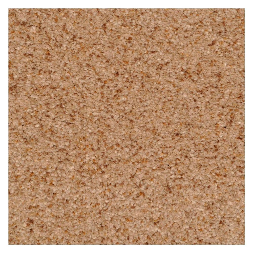 Dixie Home Bashan Carpet in Sandstone, , large