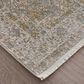 Feizy Cadiz Beige and Gray 4"10" x 7"10" Area Rug, , large