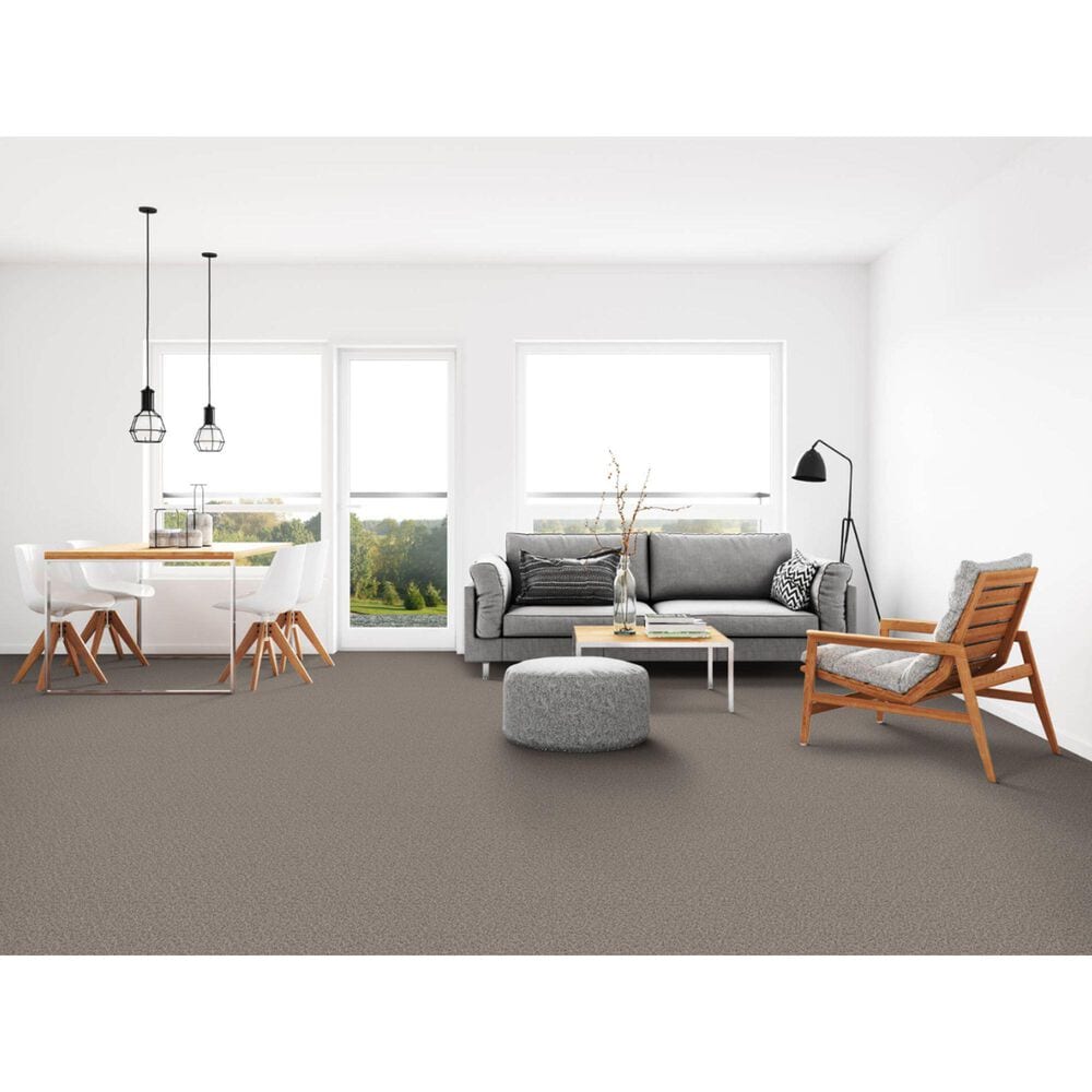 Dixie Home Simplicity Carpet in Black Sand, , large