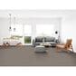Dixie Home Simplicity Carpet in Black Sand, , large
