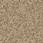 Anderson Tuftex Wyndham Estate Carpet in Golden, , large