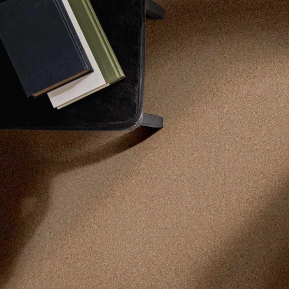 Anderson Tuftex Finery Carpet in Deer Path, , large