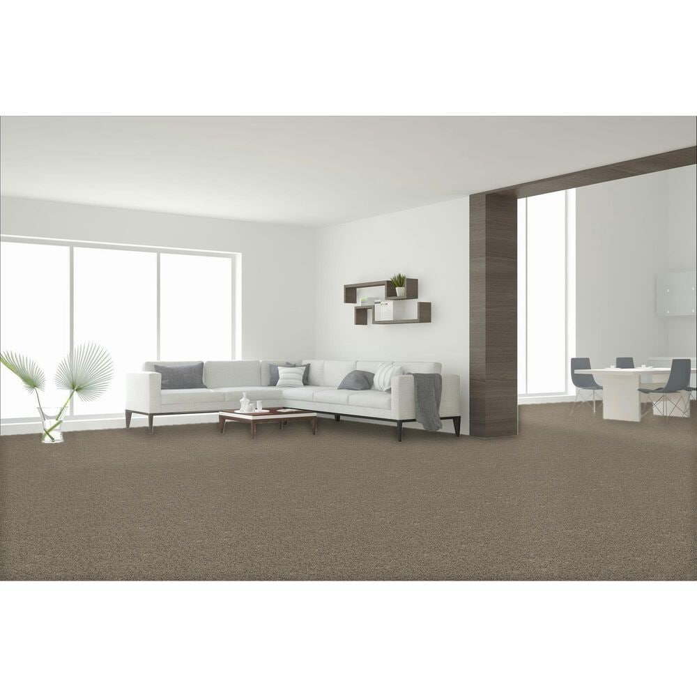 Dream Weaver Confetti I Carpet in Pale Vista, , large