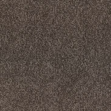 Dixie Home Bolt Carpet in Lodge, , large