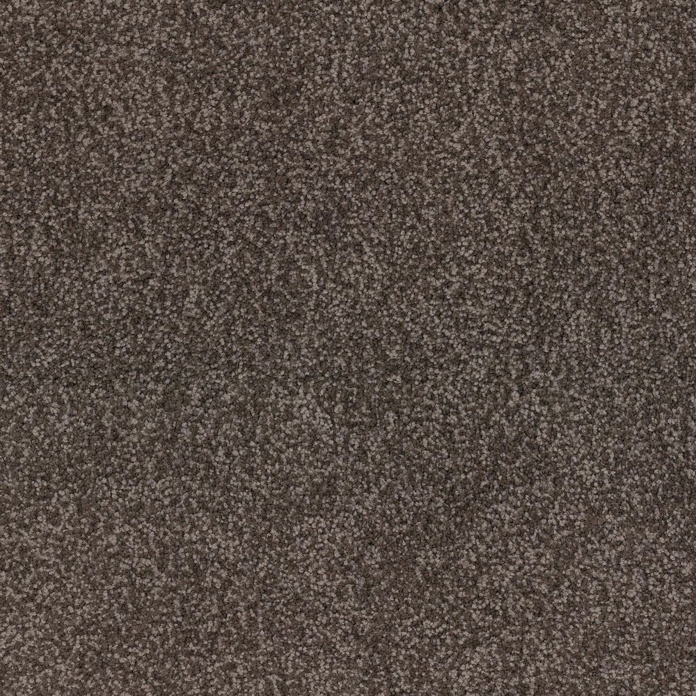 Dixie Home Bolt Carpet in Lodge, , large