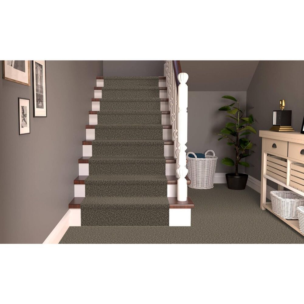 Dixie Home Riverbend Carpet in Boulder, , large