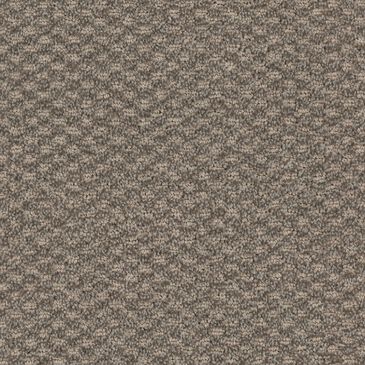 Dixie Home Soft Touch Carpet in Tranquil, , large