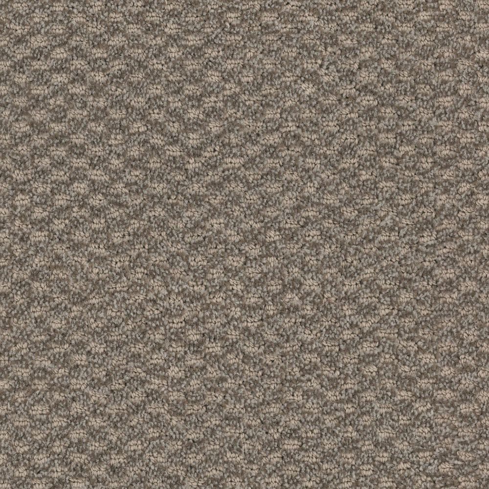 Dixie Home Soft Touch Carpet in Tranquil, , large