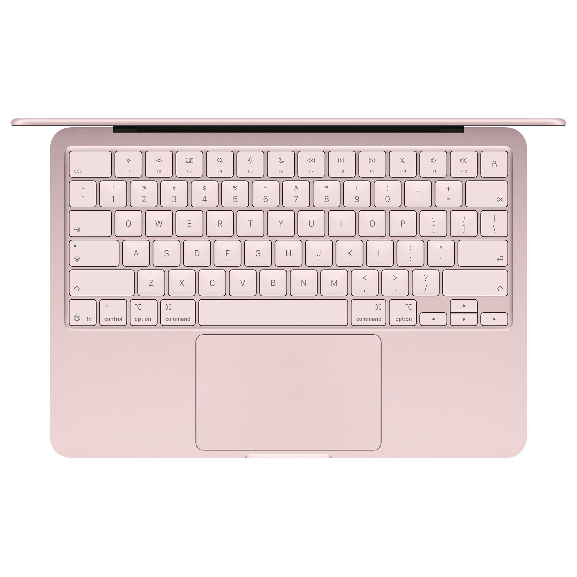 Apple 13