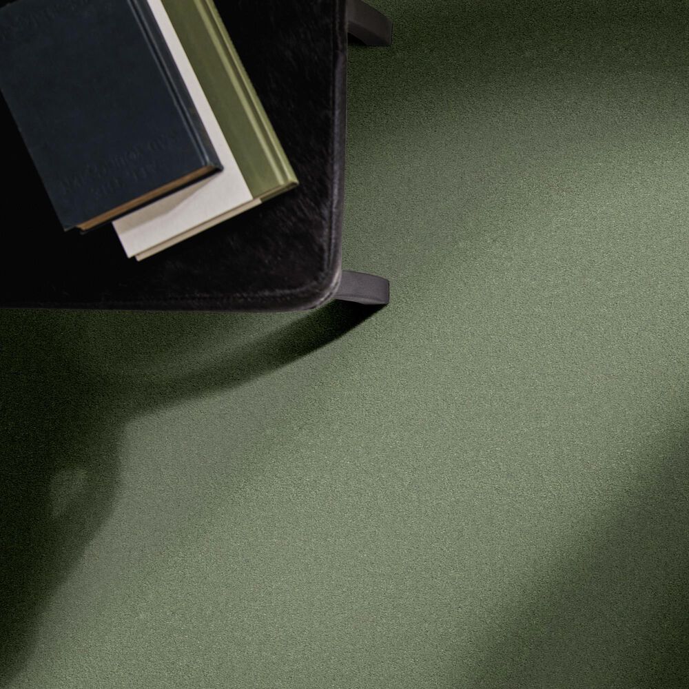 Anderson Tuftex Finery Carpet in Valley View, , large