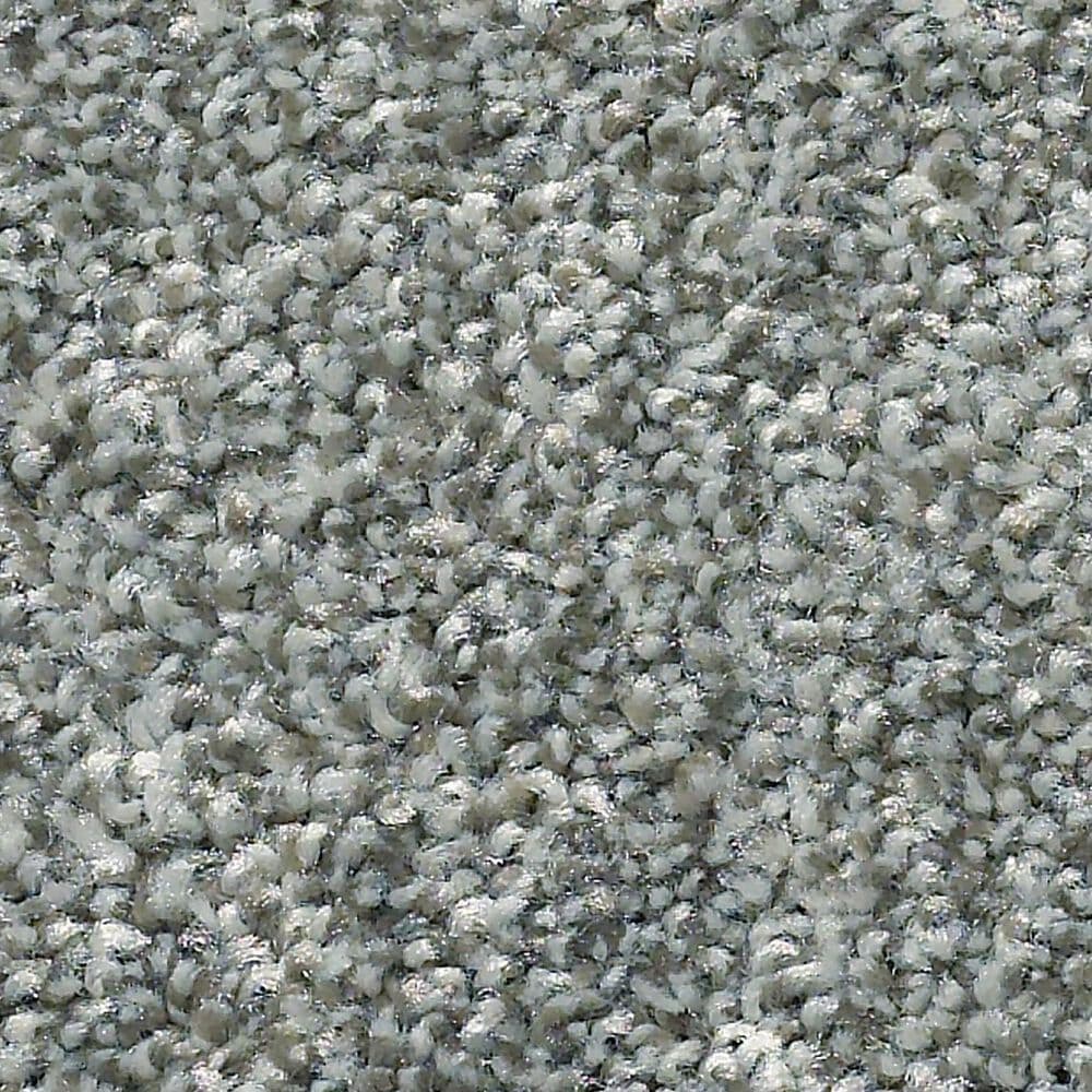 Shaw Simply the Best Cabana Life Tonal Carpet in Shadow, , large