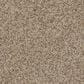 Phenix Catania Carpet in Old Town, , large
