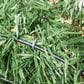 The Gerson Company 48" Pre-Lit Aspen Spruce Artificial Christmas Wreath with White LED Lights in Green, , large