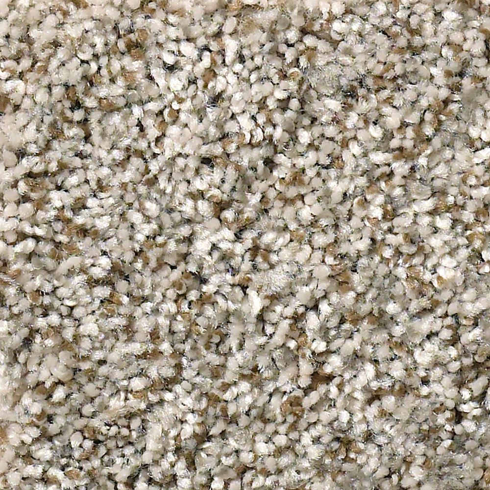 Shaw Cabana Bay (B) Carpet in Beach House, , large