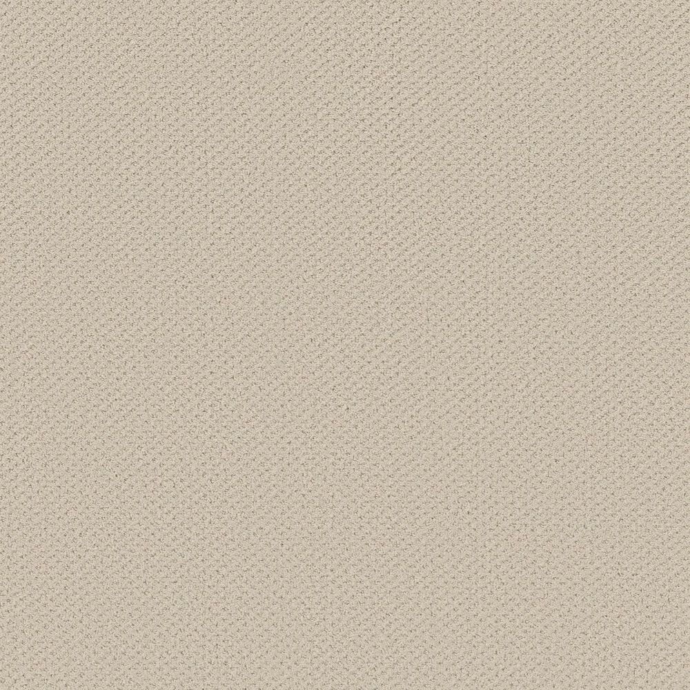 Shaw Austin Park Carpet in Alabaster, , large