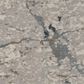 Masland Palisades Carpet in Morning Dew, , large