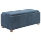 Valor Living Sahara Storage Bench in Blue, , large