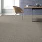 Shaw Frosting Net Carpet in Glacier, , large