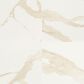 MS International Eden Calacatta 24" x 24" Polished Porcelain Tile, , large