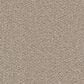 Dream Weaver Cape Cod Carpet in Ash, , large