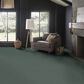 Anderson Tuftex Loom Carpet in Billiard Room, , large