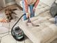Bissell Little Green Pet Pro, , large