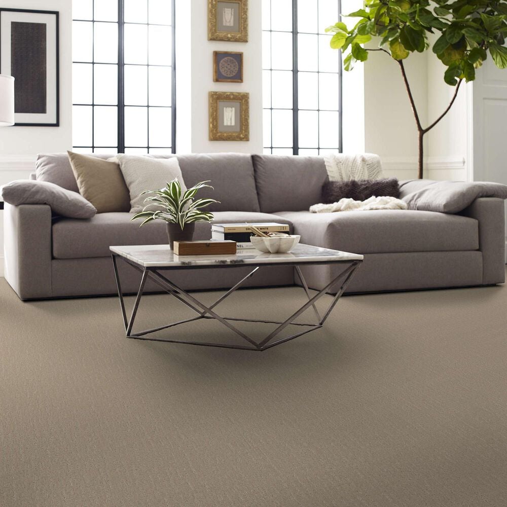 Shaw Endless Memories Carpet in Walk On The Beach, , large