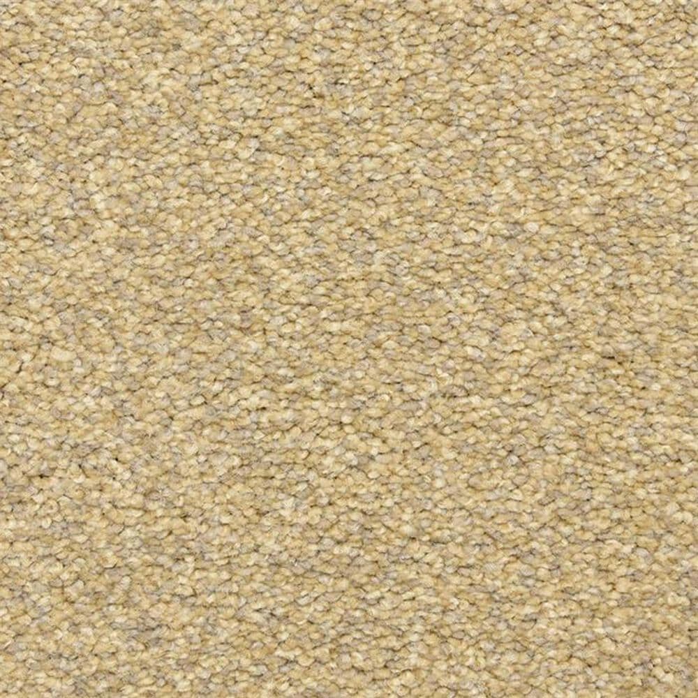 Masland Classical Carpet in Classical, , large