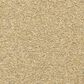 Masland Classical Carpet in Classical, , large