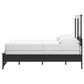Ashley Maribel Full Panel Bed in Black, , large