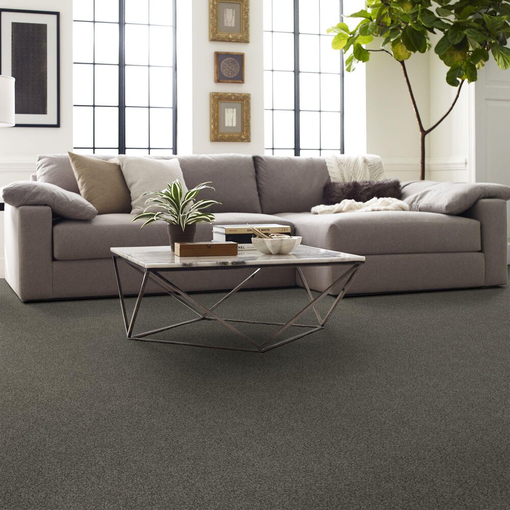 Shaw Yes You Can II Carpet in Rerooted Nature, , large