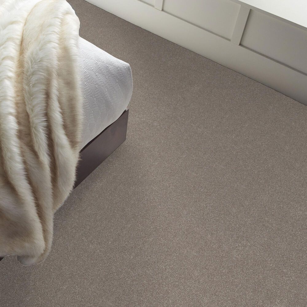 Shaw New Memories T Carpet in Mocha, , large
