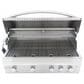 Blaze 44" Professional Natural Gas Grill with 4-Burner in Stainless Steel, , large