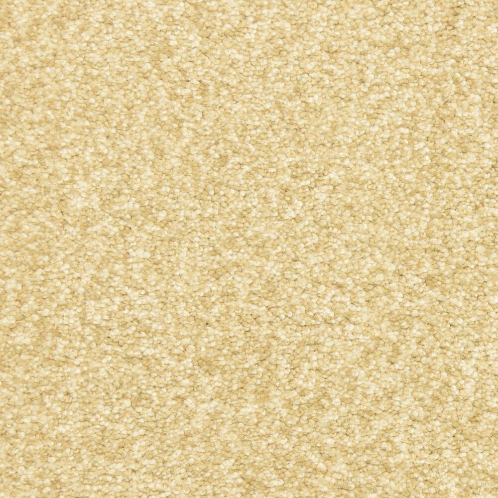 Dixie Home Debut Carpet in Portico, , large