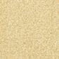 Dixie Home Debut Carpet in Portico, , large