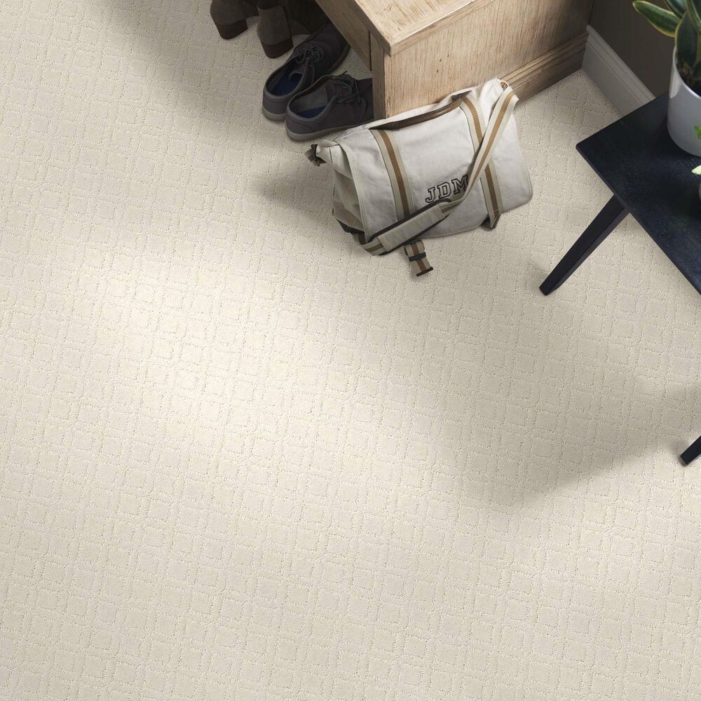 Anderson Tuftex Renoir Carpet in Minimal, , large